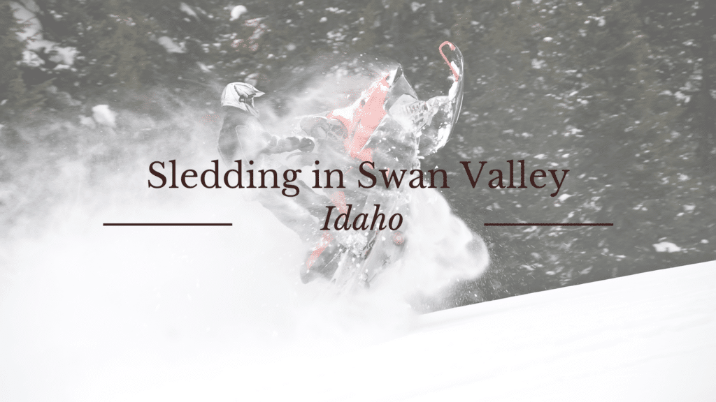 Image of Snowmobile in deep powder in Swan Valley Idaho - Snowmobiling Swan Valley Idaho