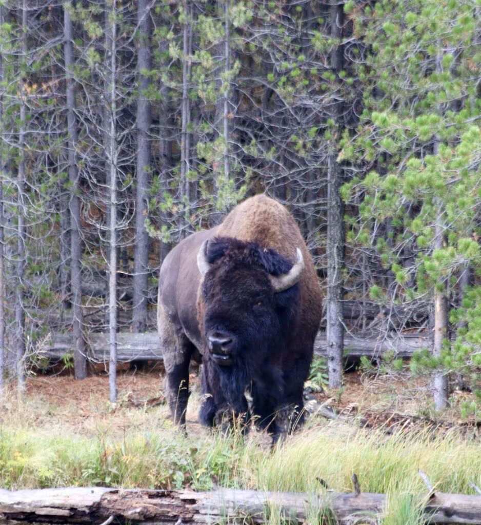 IMG_3089 - River Retreat Lodge