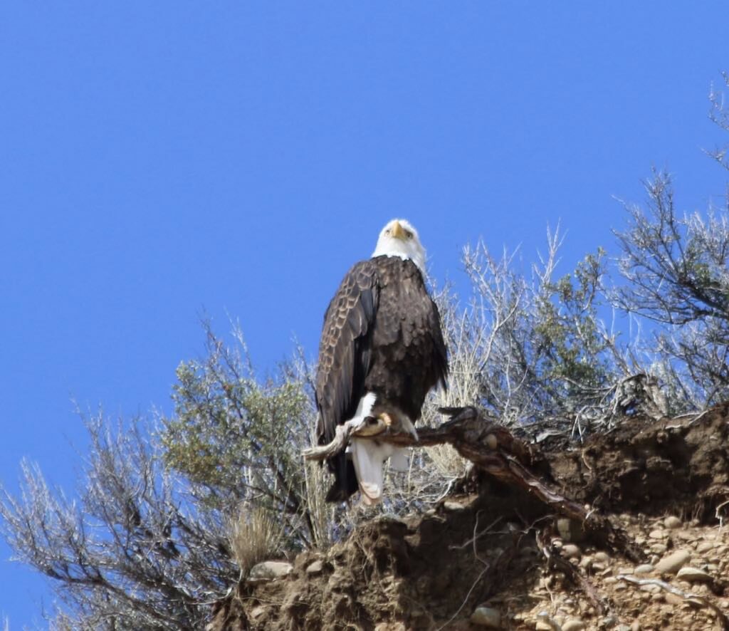 IMG_3092 - River Retreat Lodge