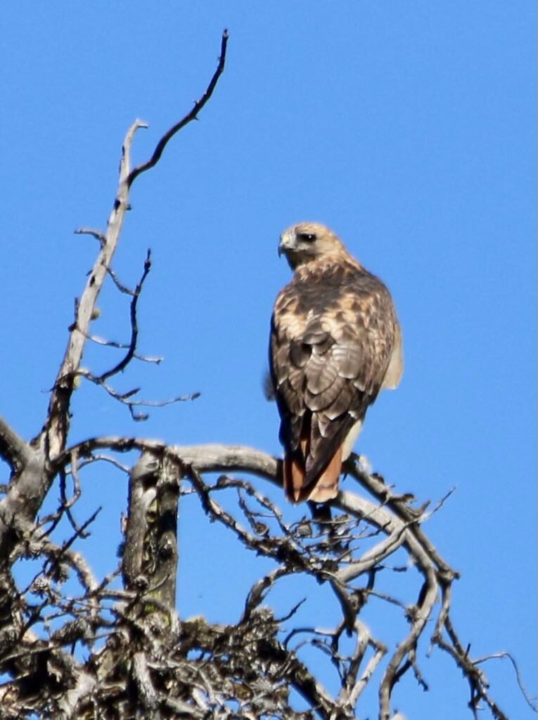 IMG_3093 - River Retreat Lodge