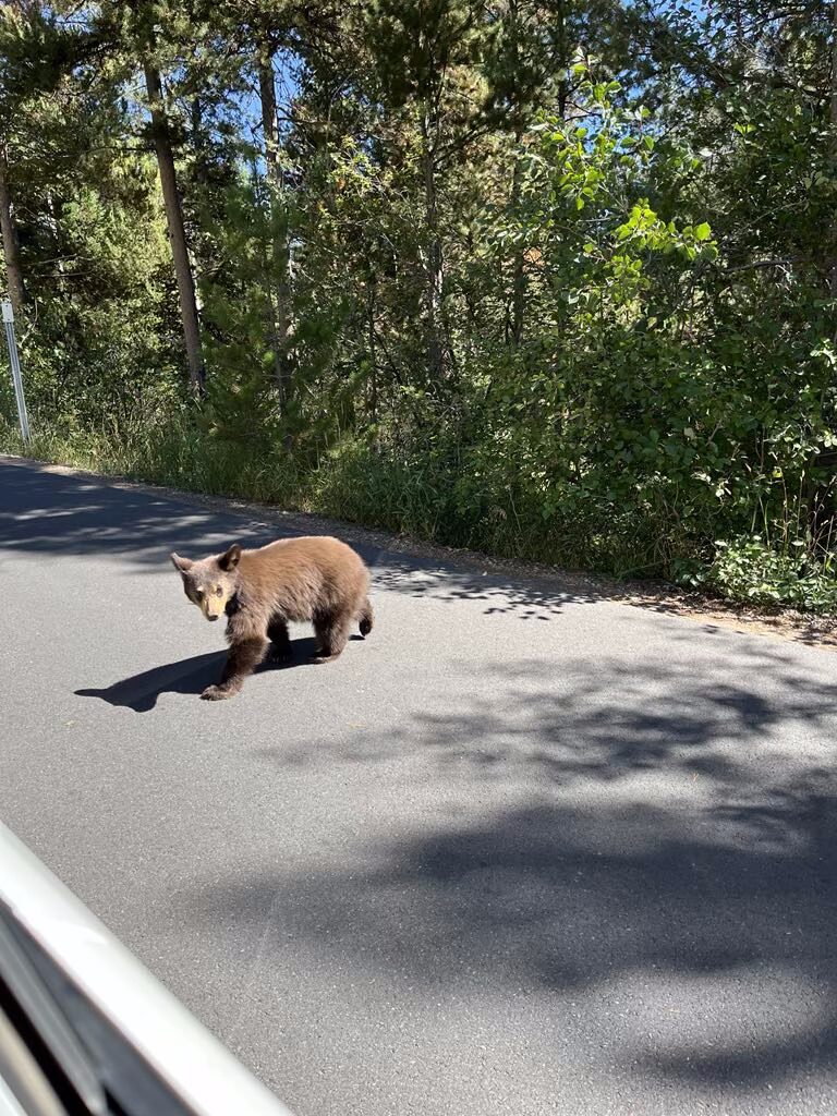 IMG_3094 - River Retreat Lodge