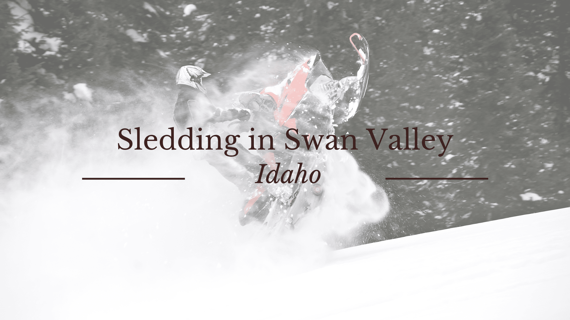 Image of Snowmobile in fresh powder in Idaho's best snowmobiling destination Swan Valley